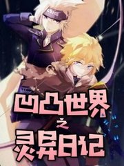 深入了解 芒果视频黄永久
